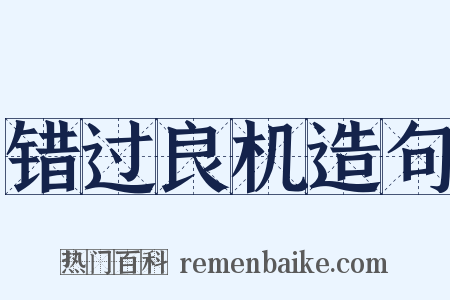 错过良机造句是什么意思的图片